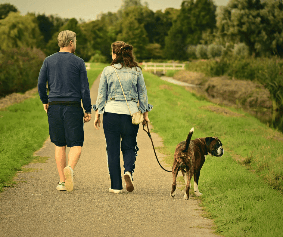 Couple walking with dog on scenic nature trail in the countryside.